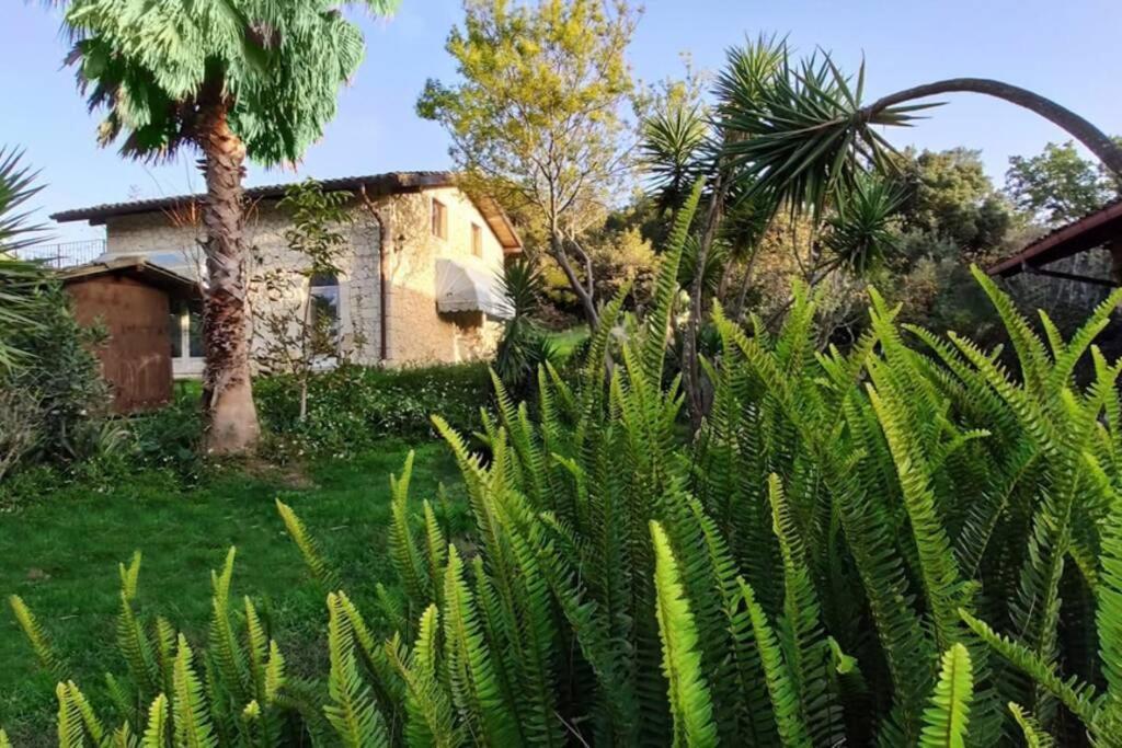 Villa Neli, Palazzolo Acreide, Siracusa, Hot Tub, Wi-Fi & Parking المظهر الخارجي الصورة